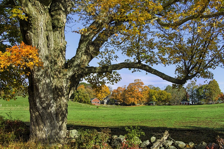 Mountain road winding through the Berkshires with scenic overlook - perfect for scenic driving routes and weekend road trip adventures