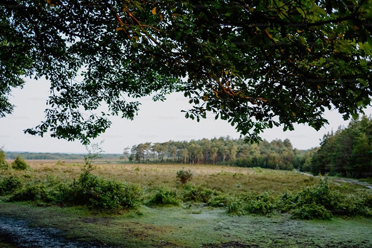 Scenic autumn mountain view in the Berkshires with vibrant fall foliage colors - perfect backdrop for romantic weekend getaways and photography