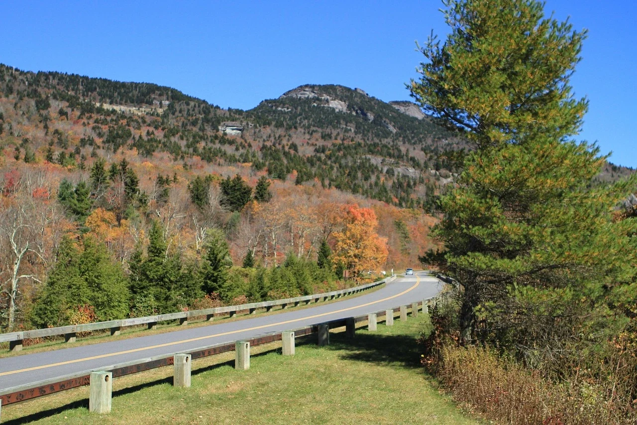 Blue Ridge Mountains covered in spring wildflowers with blooming rhododendrons and mountain laurel along forest trails