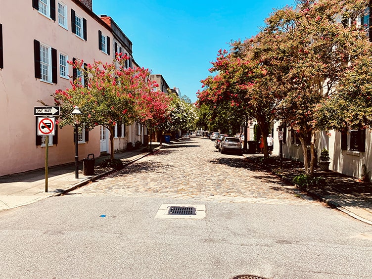 Charleston fall foliage and historic streets