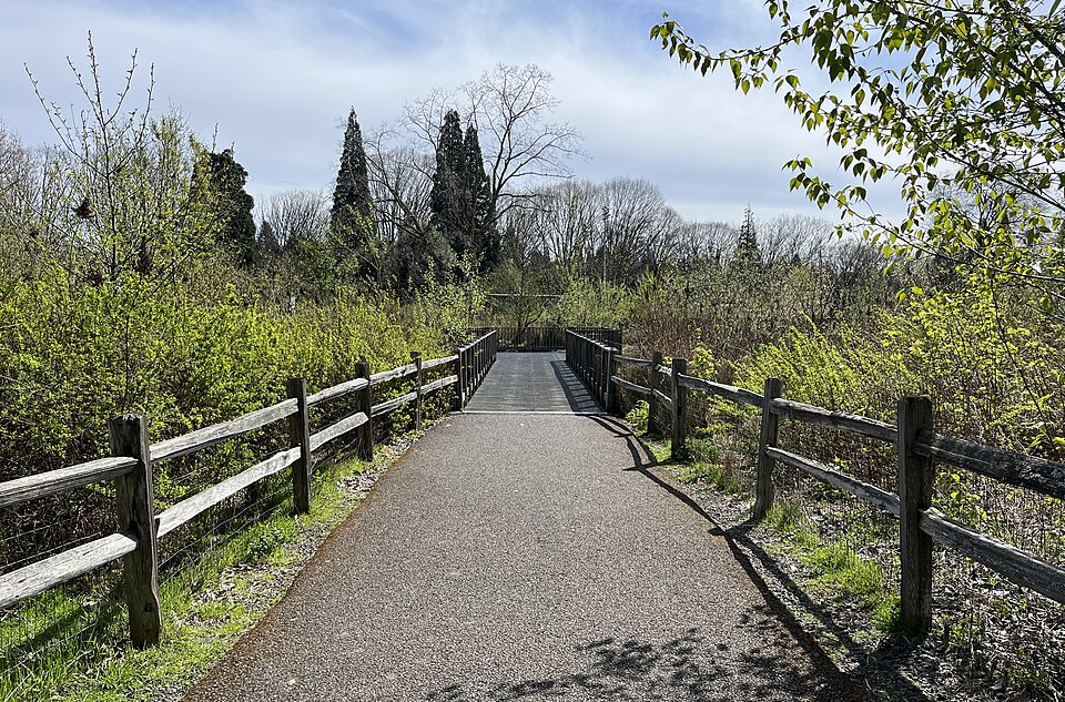 Portland winter coffee shop scene